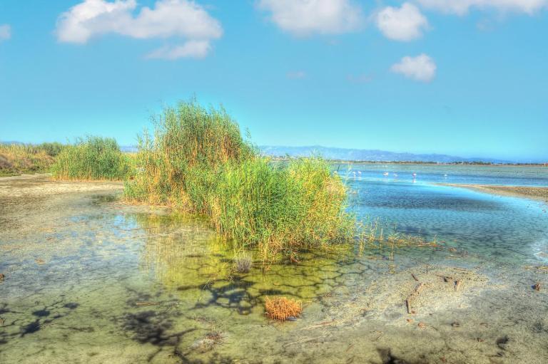 Zen Beach Home Quartu SantʼElena Εξωτερικό φωτογραφία